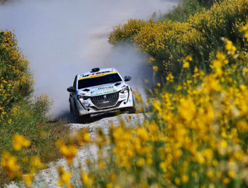 51° San Marino Rally 2023 3