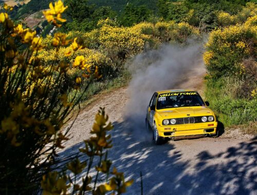 51° San Marino Rally 2023 14